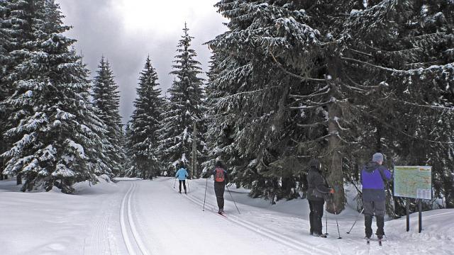 P1000250.jpg