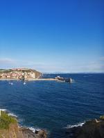P1010320.jpg